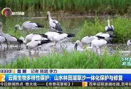 包含沙尔克客场告负，遭遇惨败难挽颓势的词条
